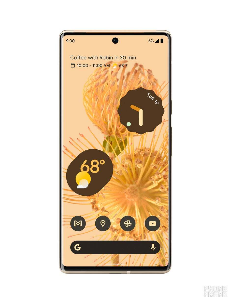 ピクセル6の画像pro。