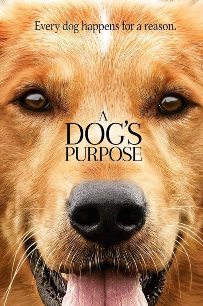 A犬の目的ポスター