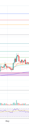 xrp fice